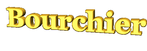 Bourchier 3D Image